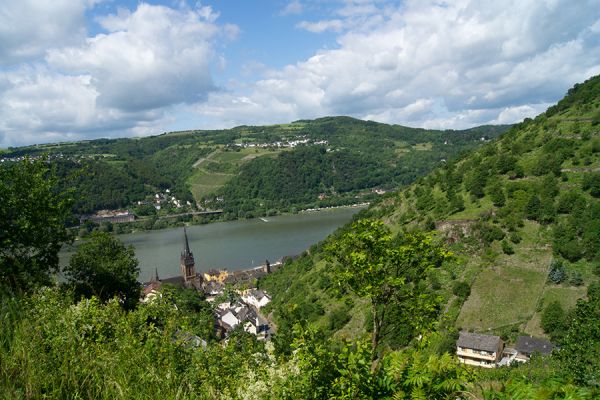 Klicken für Bild in voller Größe